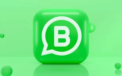 WhatsApp Business la versione della app per il business